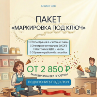 Маркировка под ключ и ТС Пиот